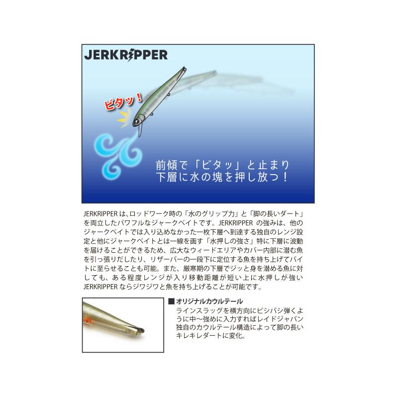 RAID JAPAN（レイドジャパン） 【在庫限定20％OFF】レイドジャパン