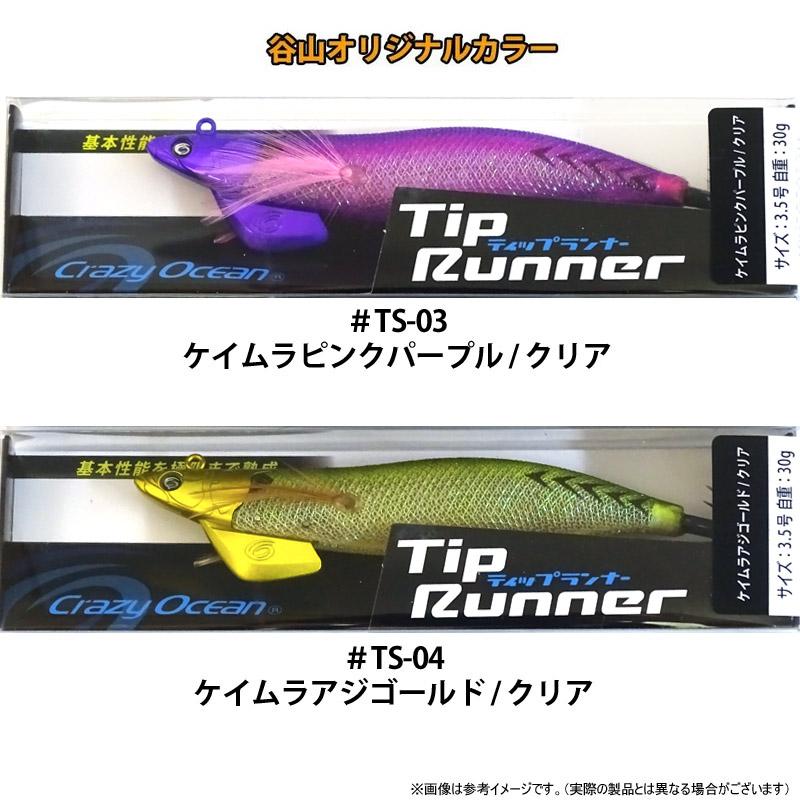 Crazy Ocean（クレイジーオーシャン） ティップランナー 3.5号 (谷山