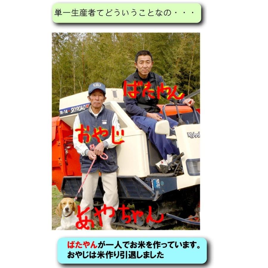 令和6年産 ひのひかり 15キロ お米 新米 令和6年 岡山県産 ひのひかり 15kg (5kg×