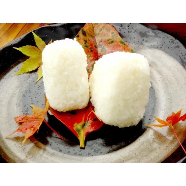 ヒノヒカリ 令和6年産 鹿児島県産 ヒノヒカリ ばたやんの米 単