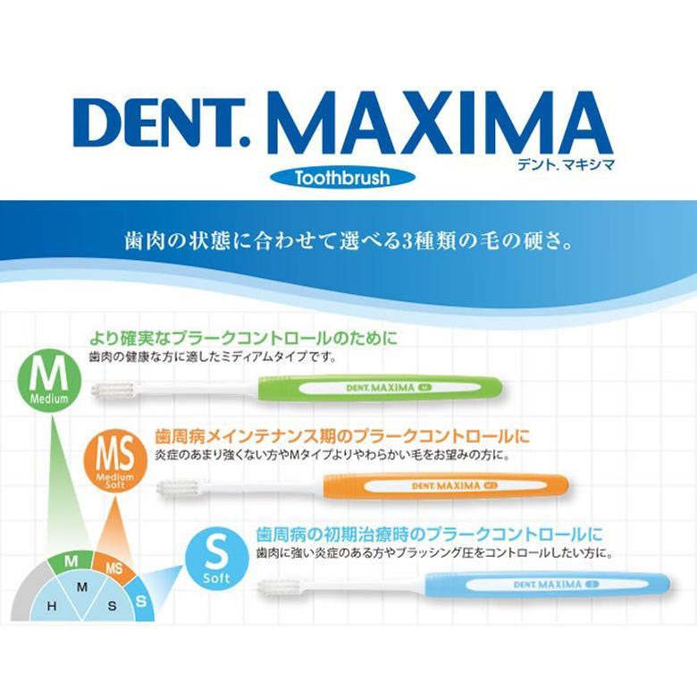LION（ライオン） 歯ブラシ DENT MAXIMA マキシマ 4色アソート 12本