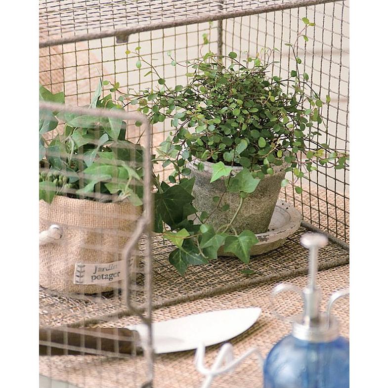 フラワースタンド S 花台 アイアン アイアン雑貨アンティーク