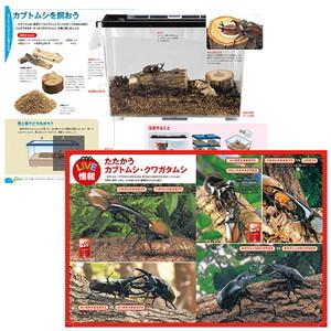 学研の図鑑 LIVE 18 カブトムシクワガタ｜baton-store｜04