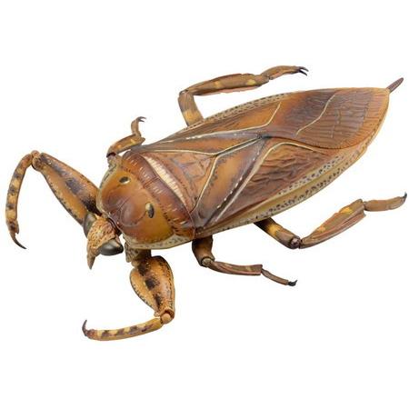 新品未開封】REVO GEO タガメ (Kirkaldyia deyrolli) : バトンストア 