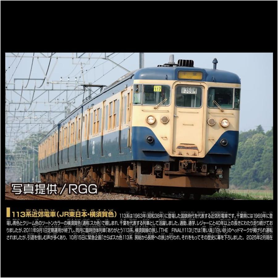 プラレール リアルクラス 113系近郊電車(JR東日本・横須賀色) : バトン
