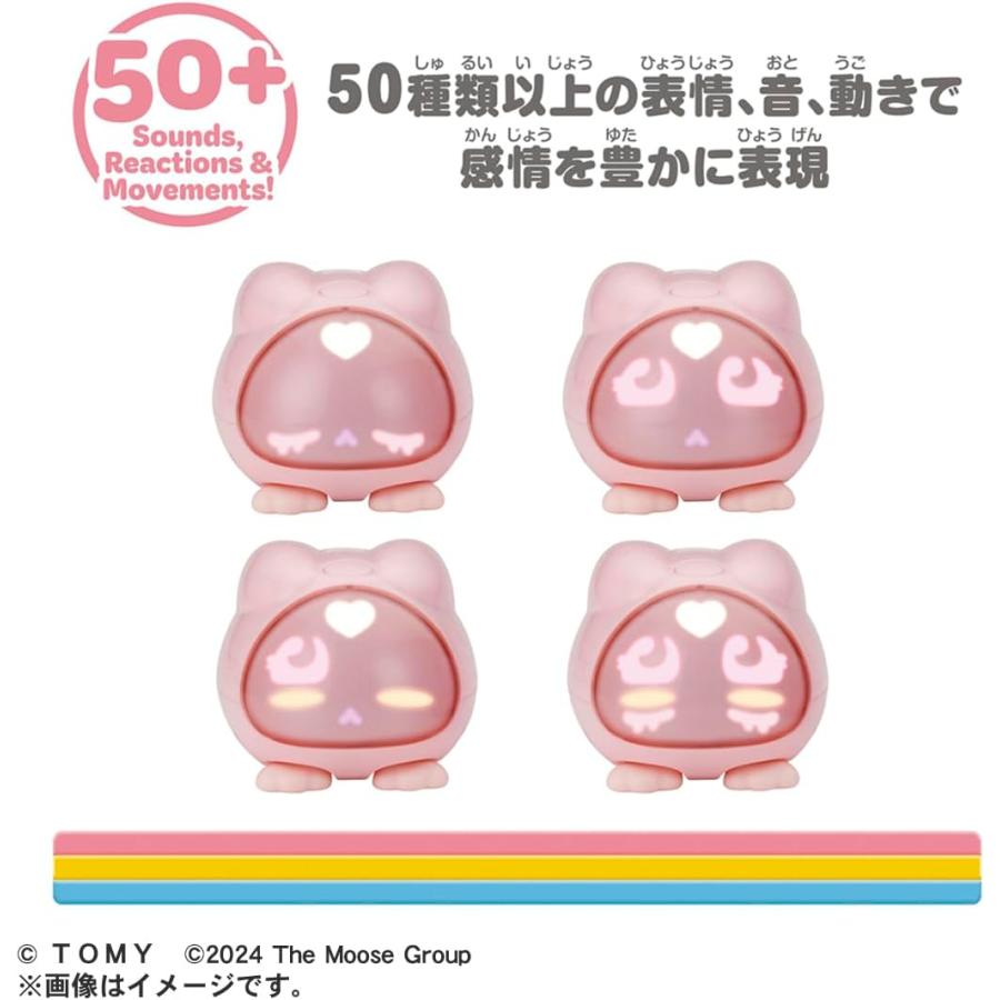 マイクロペット バニー : バトンストア Yahoo!店 - 通販 - Yahoo