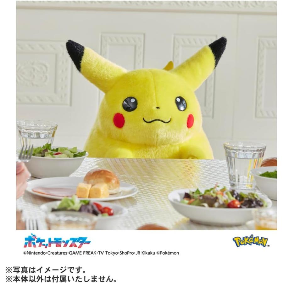 ポケットモンスター ポケモン30周年記念 おかえり! ピカチュウ 1/1 高