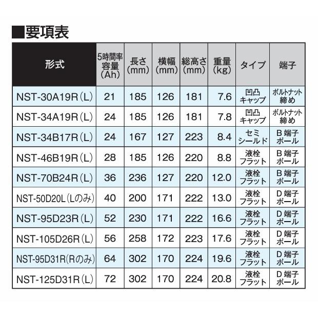 G＆Yuバッテリー G&Yu [ジーアンドユー] バッテリー NST-105D26R NEXT