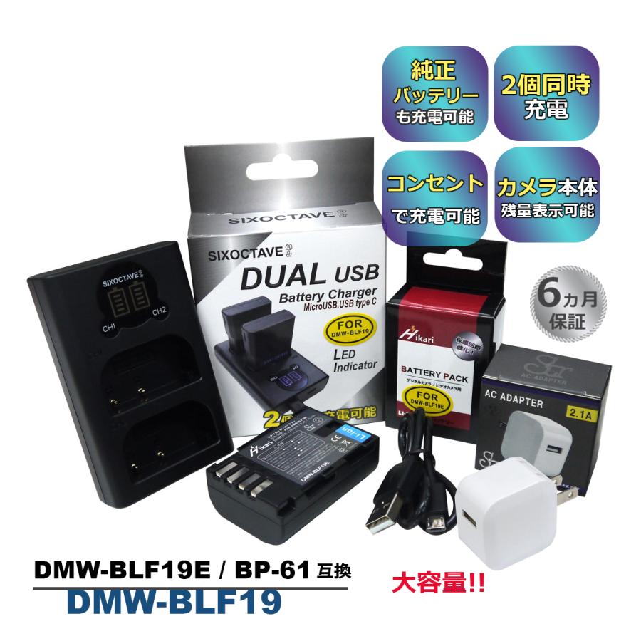 DMW-BLF19 Panasonic パナソニック 互換バッテリー 1個と 互換デュアル
