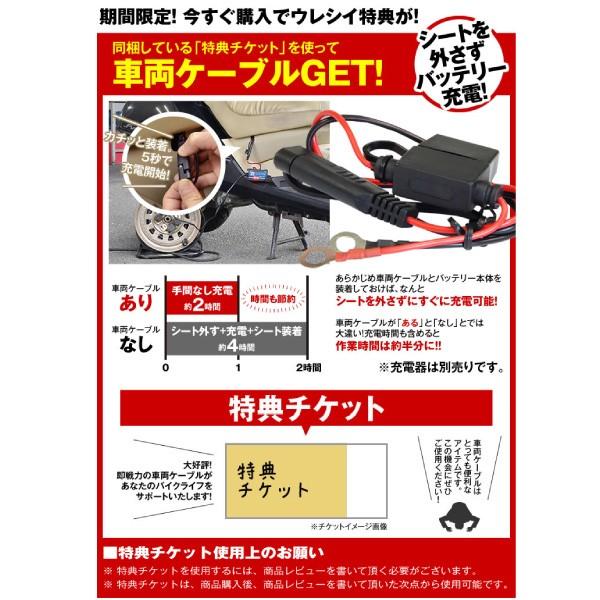 SUPER NATTO バイクバッテリー BMW G650 専用バッテリー 初期補