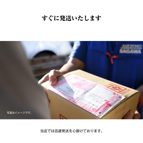 秋⭐︎冬　配送方法変更用 SUPER NATTO バイク用バッテリー 端子方向変換キット L字