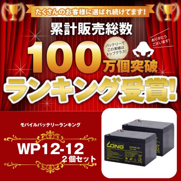UPS(無停電電源装置) WP12-12【お得 2個セット】（産業用鉛蓄電池