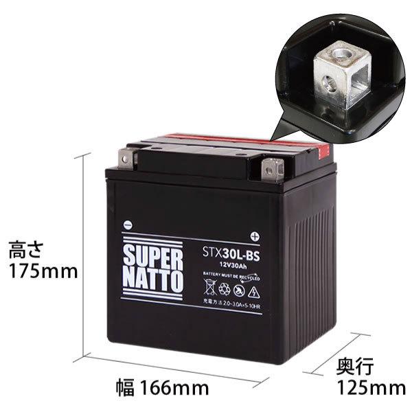 SUPER NATTO（スーパーナット） バイク バッテリー ハーレー用