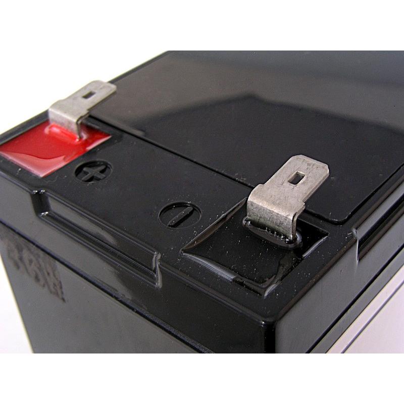 SUPER NATTO（スーパーナット） UPS(無停電電源装置) 5115RBM-500S