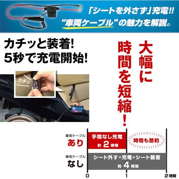 SUPER NATTO バイク バッテリー バイク充電器(チャージャー)専用