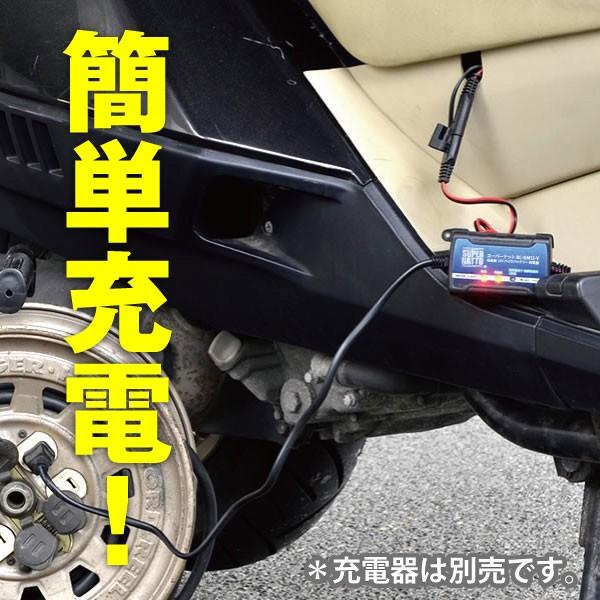 SUPER NATTO（スーパーナット） バイク バッテリー バイク充電器