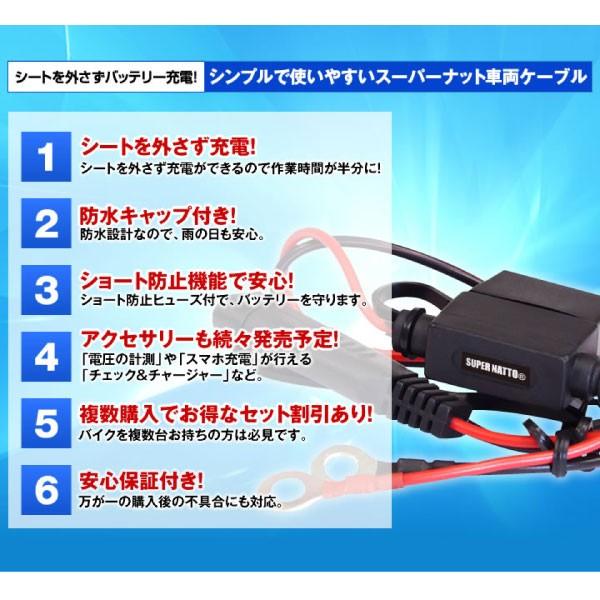 SUPER NATTO バイク バッテリー バイク充電器(チャージャー)専用 SUPER NATTO バイク バッテリー バイク充電器(チャージャー)専用