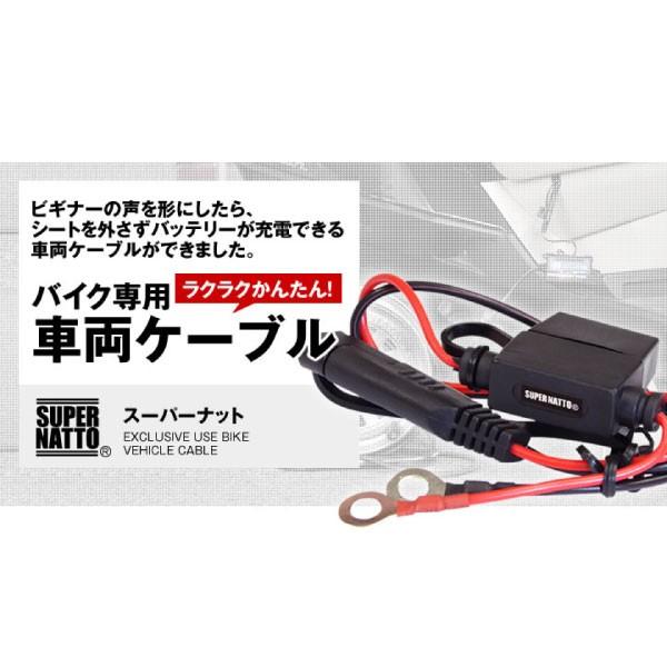 SUPER NATTO（スーパーナット） バイク バッテリー バイク充電器