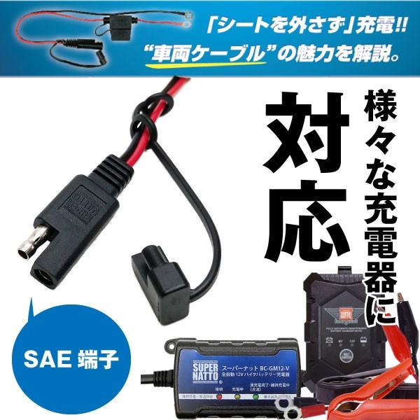 SUPER NATTO（スーパーナット） バイク バッテリー バイク充電器