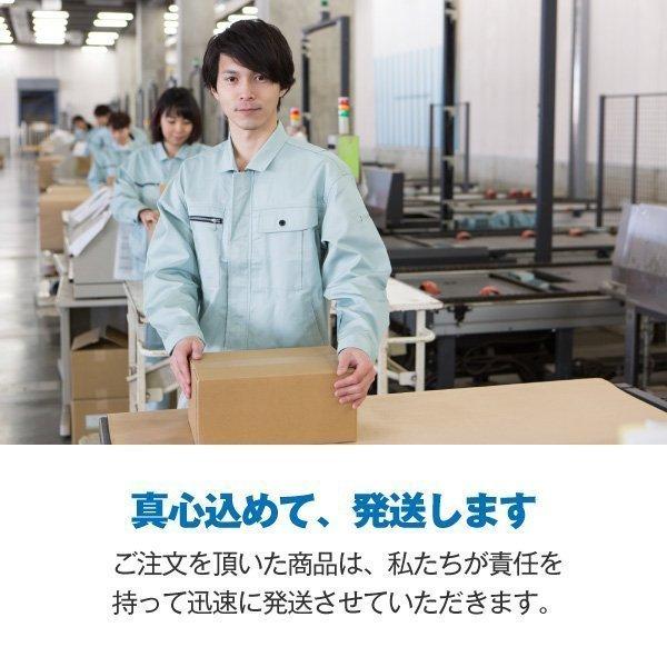 バイク バッテリー オプティメート4デュアル(OptiMATE-4DUAL)+12SN22BMW専用バッテリー+ OptiMATE O-09 DIN ケーブルセット 全自動 充電器 オプティメイト4|batterystorecom|18