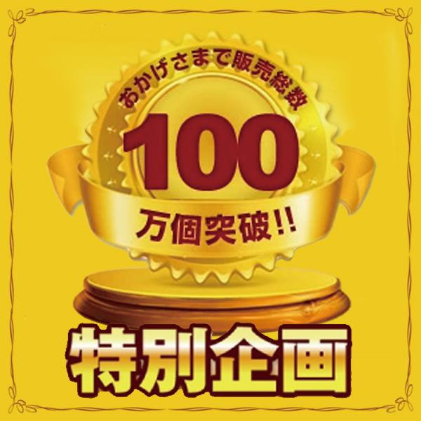 バイク バッテリー STZ10S YTZ10Sに互換 お得2点セット バッテリー+充電器(チャージャー) スーパーナット 総販売数100万個突破|batterystorecom|02
