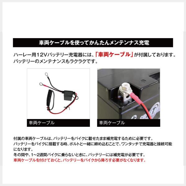 バイク バッテリー STZ10S YTZ10Sに互換 お得2点セット バッテリー+充電器(チャージャー) スーパーナット 総販売数100万個突破|batterystorecom|14