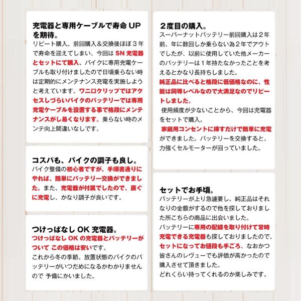 バイク バッテリー STZ10S YTZ10Sに互換 お得2点セット バッテリー+充電器(チャージャー) スーパーナット 総販売数100万個突破|batterystorecom|10