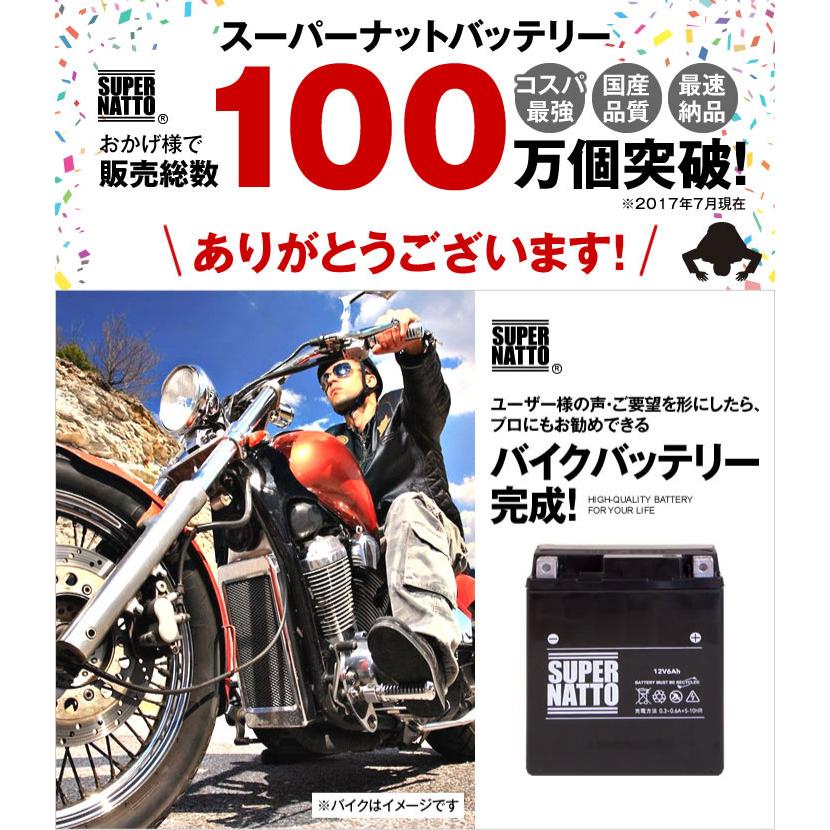 SUPER NATTO（スーパーナット） バイク用 STX15L-BS バッテリー