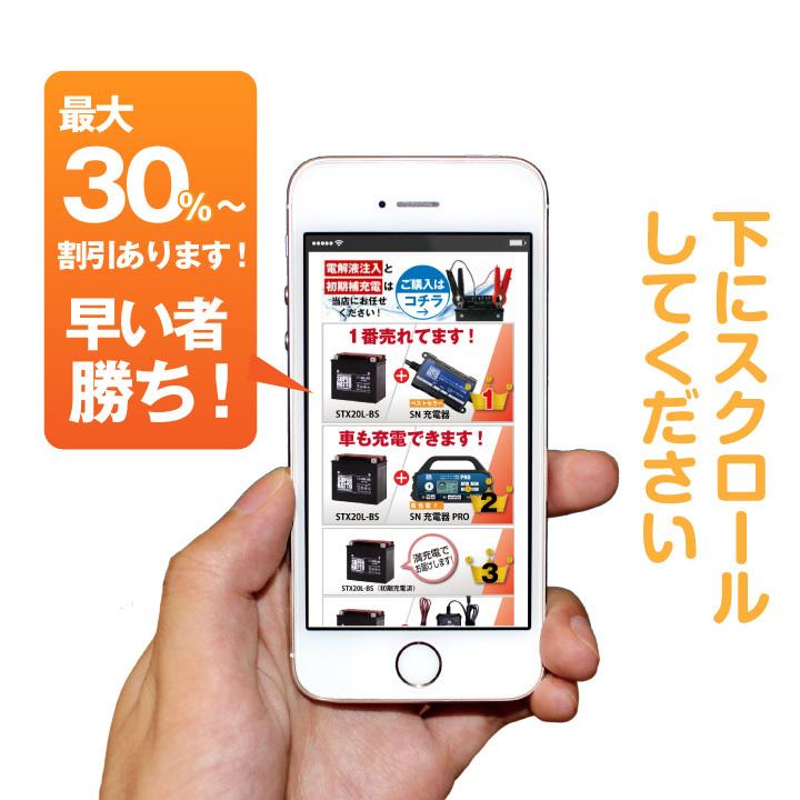 バイク バッテリー 65989-97S 65989-97A 65989-97B 65989-97C互換 2点セット ハーレー対応 充電器 ＋ AGMバッテリー スーパーナット充電器PRO | SUPER NATTO | 02
