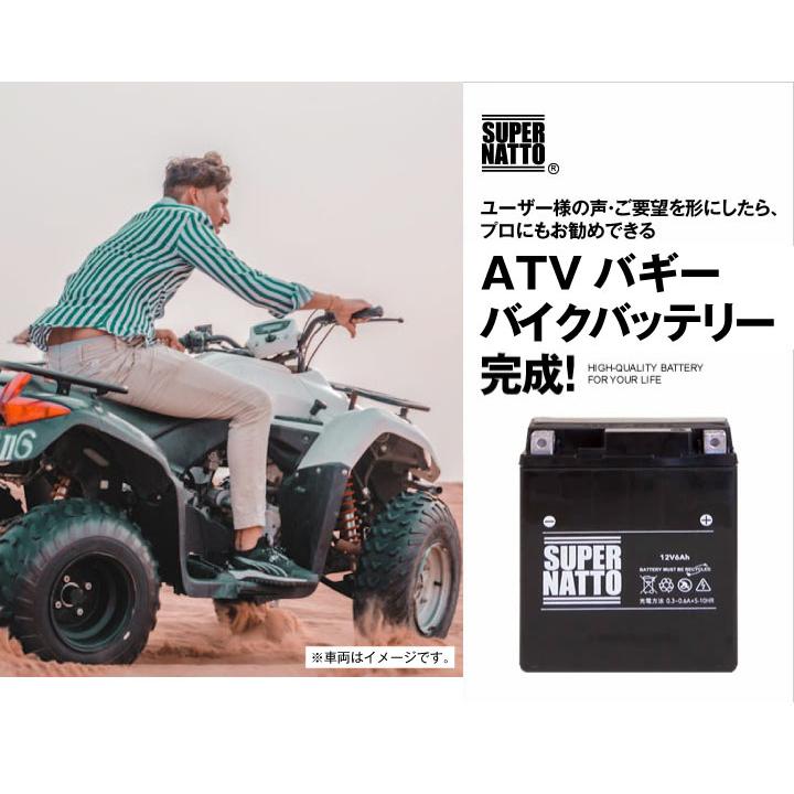 SUPER NATTO（スーパーナット） ATVバギー用バッテリー STX5L-BS 
