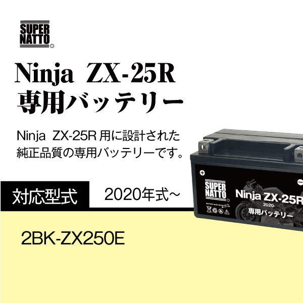 SUPER NATTO バイク用バッテリー+充電器セット カワサキ Ninja SUPER NATTO バイク用バッテリー+充電器セット カワサキ Ninja