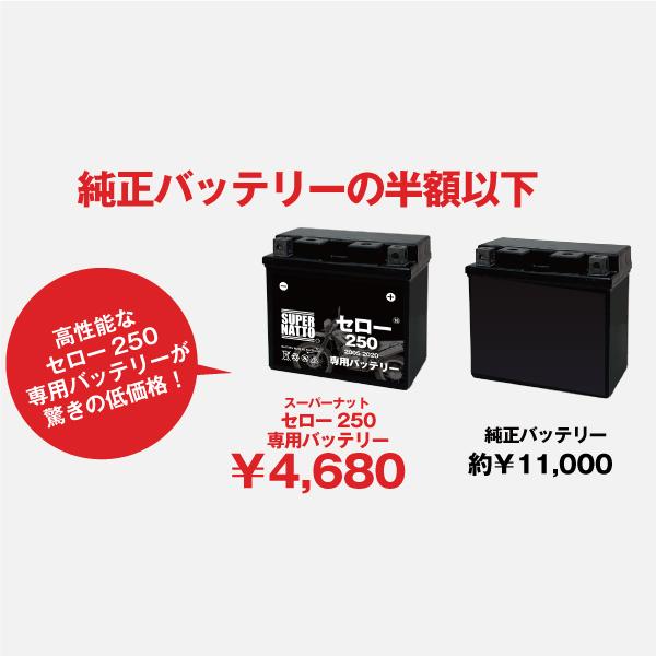 SUPER NATTO バイク用バッテリー＋充電器セット ヤマハ セロー