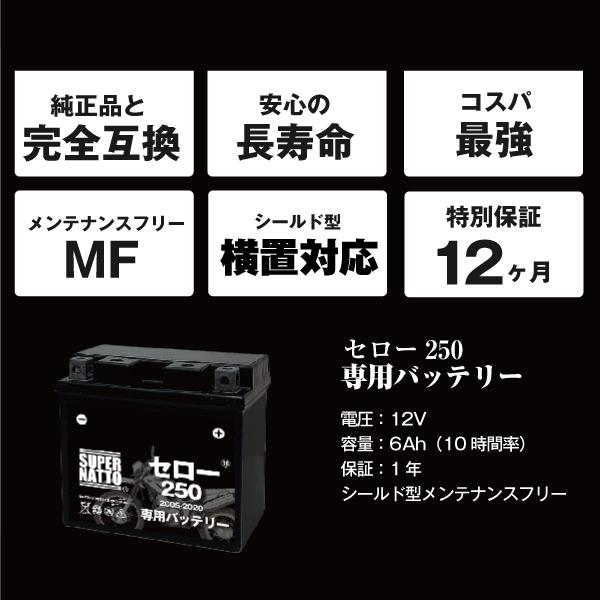 SUPER NATTO（スーパーナット） バイク用バッテリー ヤマハ セロー250