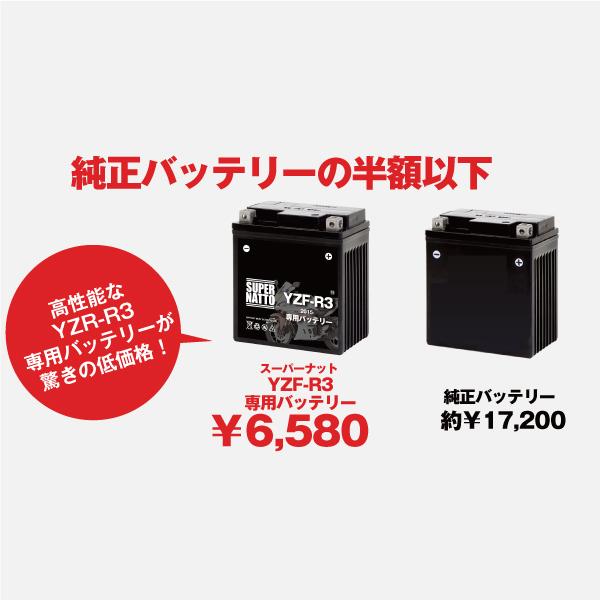 ヤマハ 充電器 +リチウムイオン バッテリー セット YAMAHA リチウムイオンバッテリー 15.4Ah セット