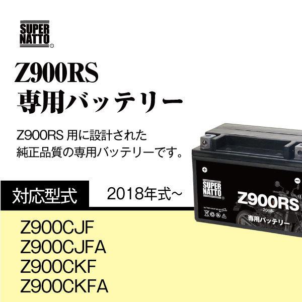 充 電 器 楽天市場】BC-31L / NP-40 Casio 互換充電器(USB充電式) 1点 CASIO