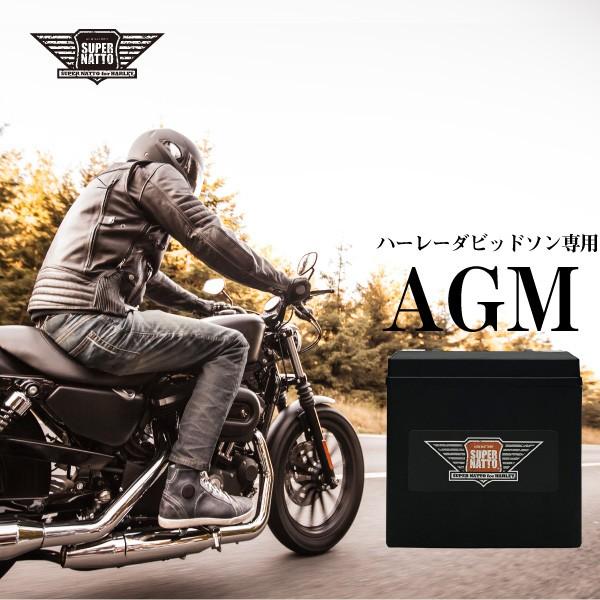 SUPER NATTO（スーパーナット） バイク用バッテリー ハーレー専用AGM