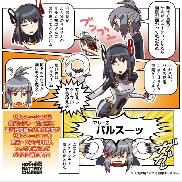 バイク バッテリー STZ12S YTZ12S GTZ12S FTZ12Sに互換 お得2点セット バッテリー+星乃充電器(チャージャー) スーパーナット 総販売数100万個突破 | SUPER NATTO | 07