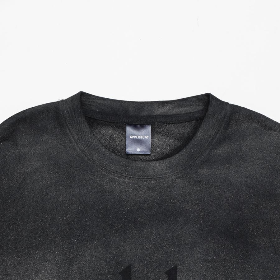 APPLEBUM アップルバム Airbrush Crew Sweat 2420404 クルーネック 