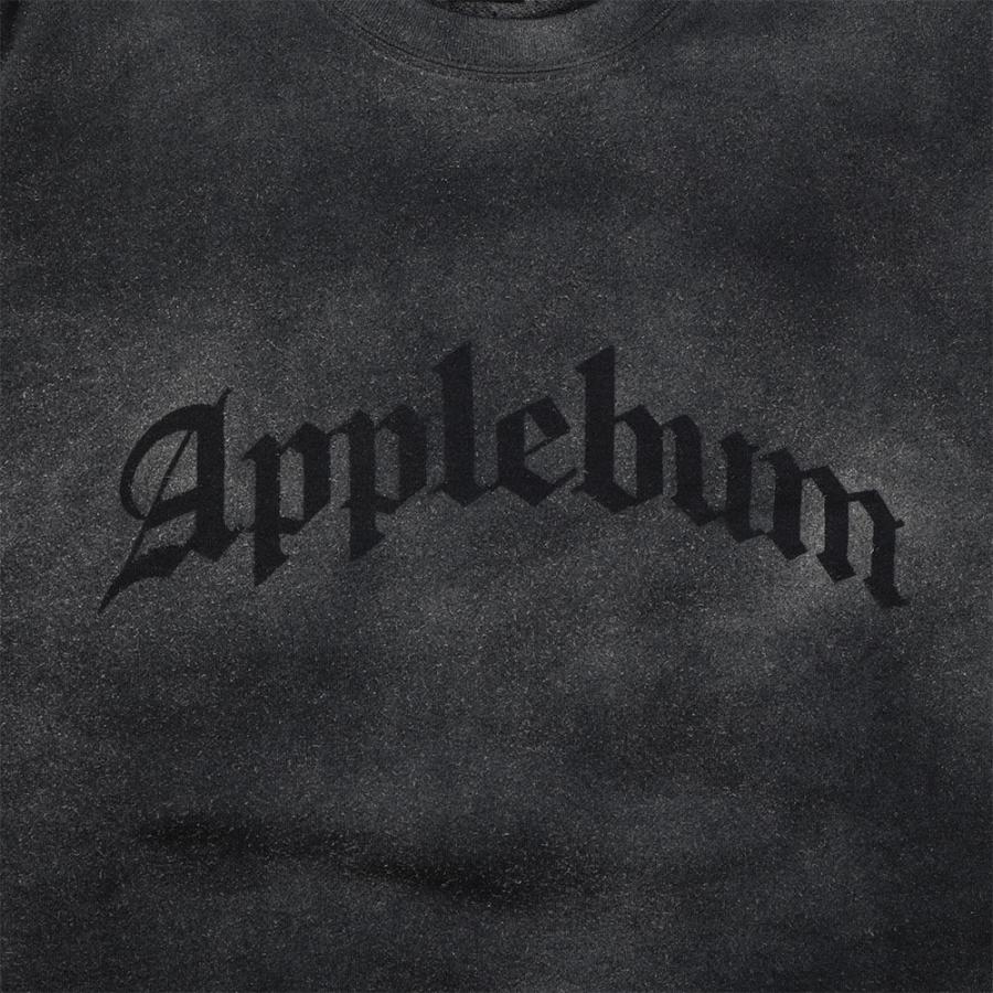 APPLEBUM アップルバム Airbrush Crew Sweat 2420404 クルーネック 