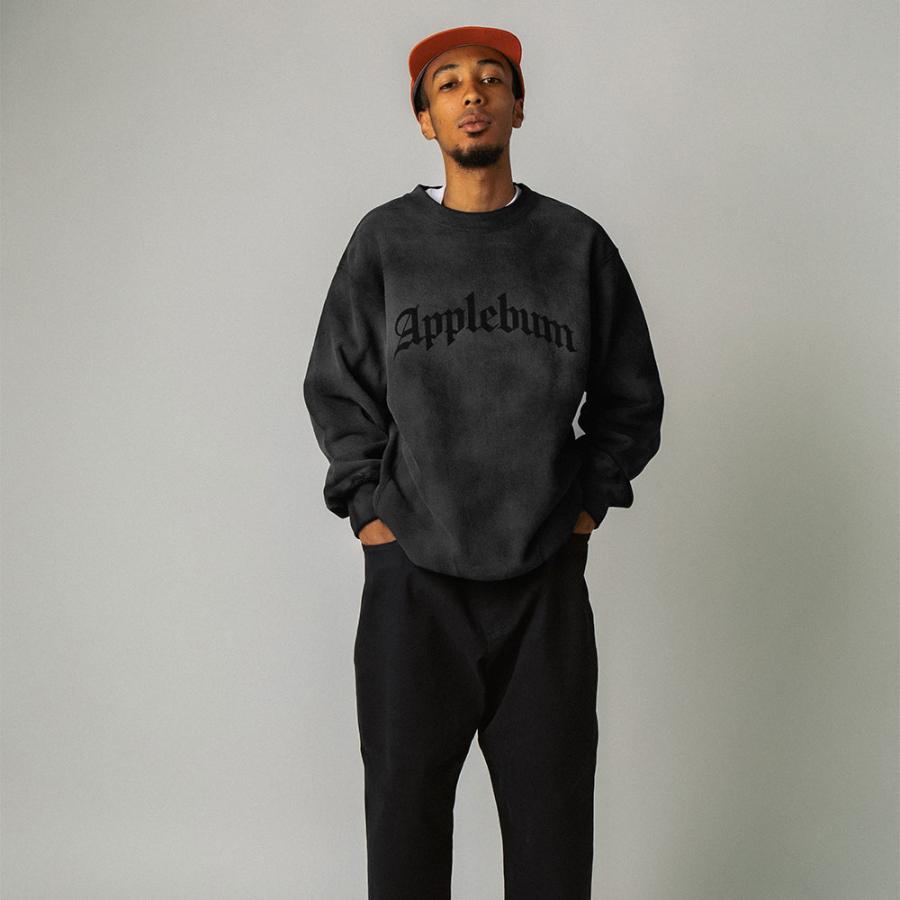 APPLEBUM アップルバム Airbrush Crew Sweat 2420404 クルーネック 