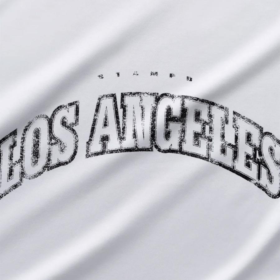 STAMPD（スタンプド） Los Angeles Varsity Relaxed Tee M4090TE T