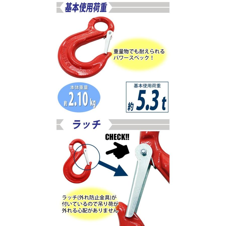 アイフック ラッチ付 使用荷重約5.3t 約5300kg G80 鍛造 エコノミー
