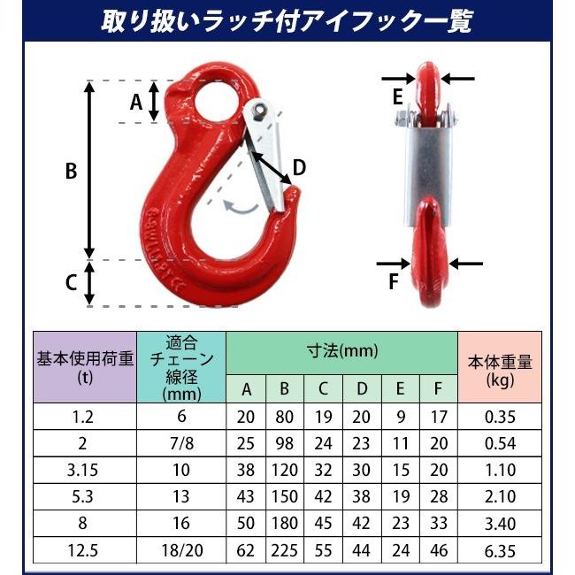 アイフック ラッチ付 使用荷重約5.3t 約5300kg G80 鍛造 エコノミー