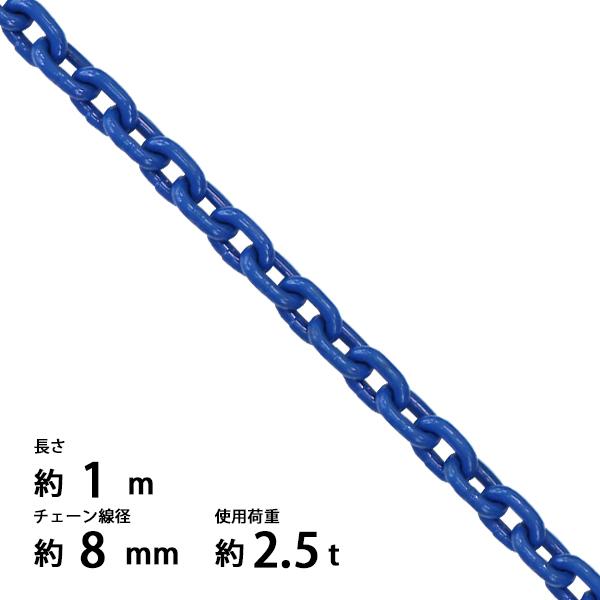 チェーン 線径約8mm 使用荷重約2.5t 約2500kg 約1m G100 ハイグレード