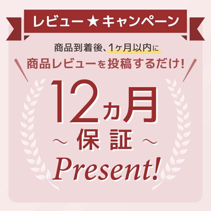 ウッドチェア 肘無し コムバック型 2脚セット販売 ビアンカ2点 トー