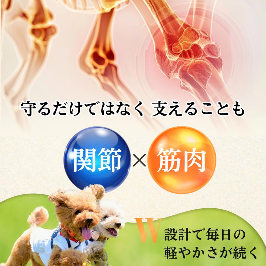 犬 関節 サプリ パテラ グルコサミン サプリメント 関節ケア 無添加