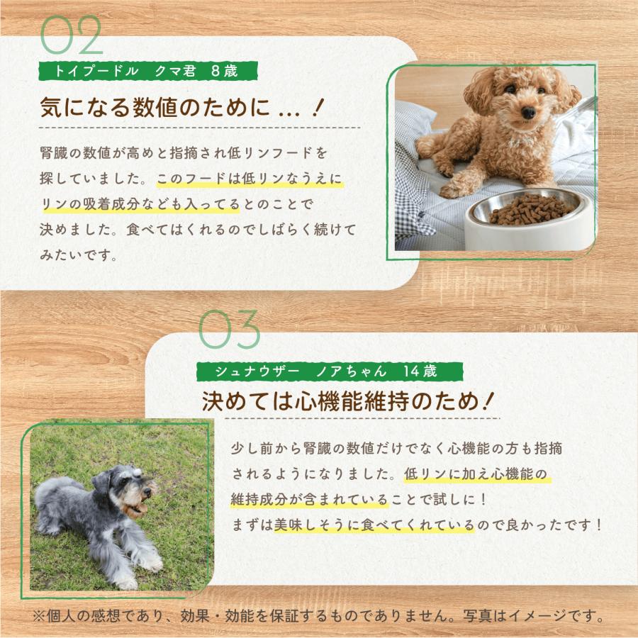 ドッグフード 低リン 腎臓 心臓 低タンパク質 総合栄養食 国内製造 無