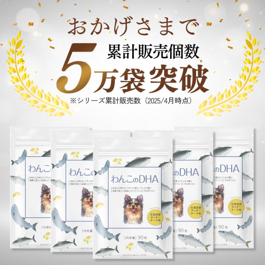 犬 サプリメント サプリ 免疫 DHA EPA オメガ3 脳機能 健康維持 必須