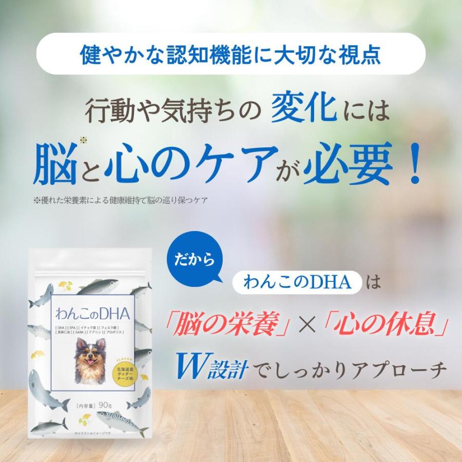 犬 DHA サプリ サプリメント シニア犬 免疫 EPA オメガ3 脳機能 健康