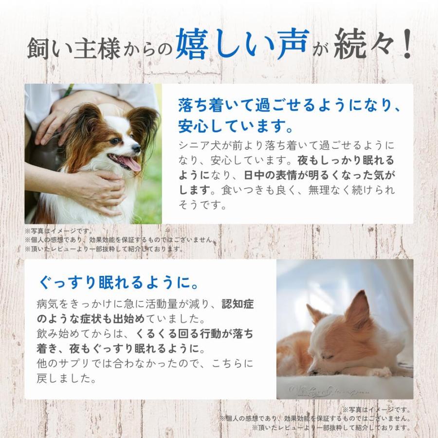 犬 サプリメント サプリ 免疫 DHA EPA オメガ3 脳機能 健康維持 必須